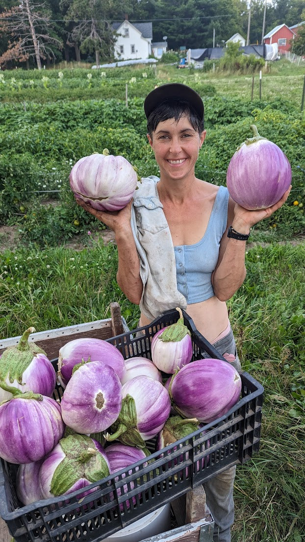 Eggplant Seeds - Rosa Bianca | Vegetable Seeds in Packets & Bulk | Eden Brothers