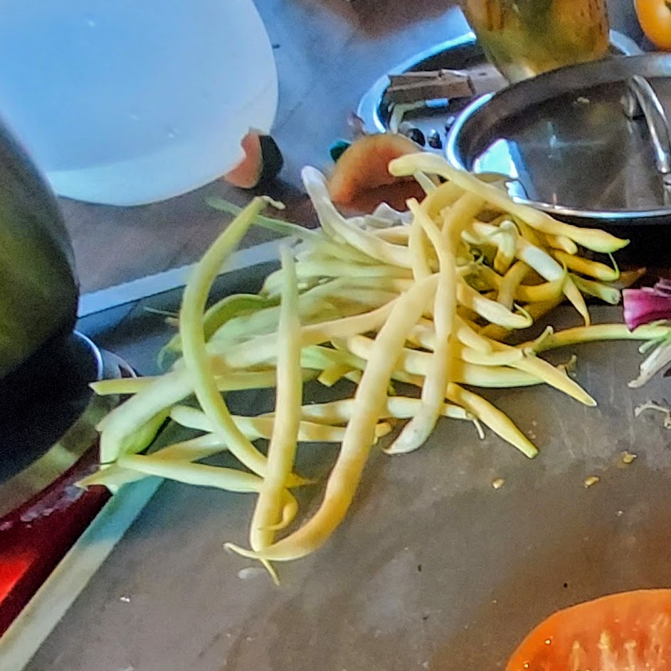 Snap Bean, Golden Rocky Yellow Wax OG