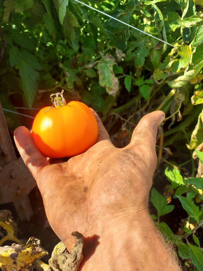 Slicer- Nebraska wedding OG