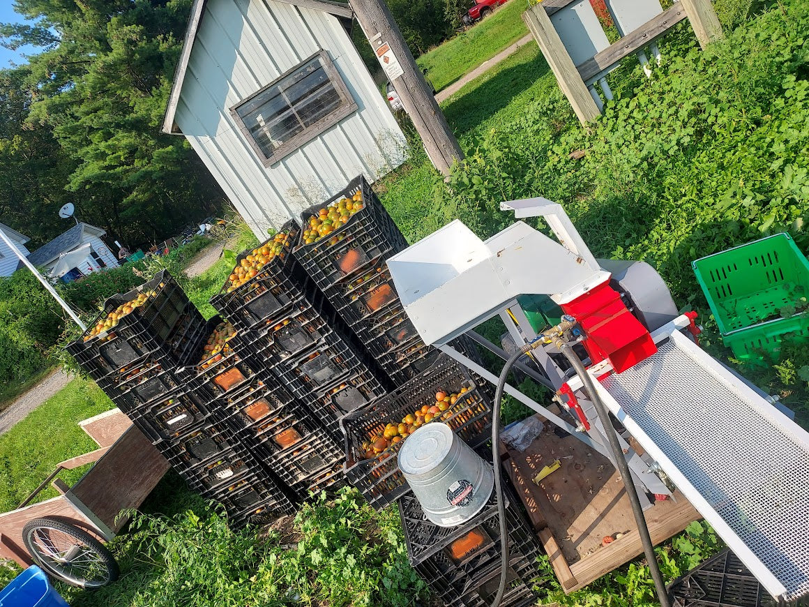 Cherry- Evil Olive OG