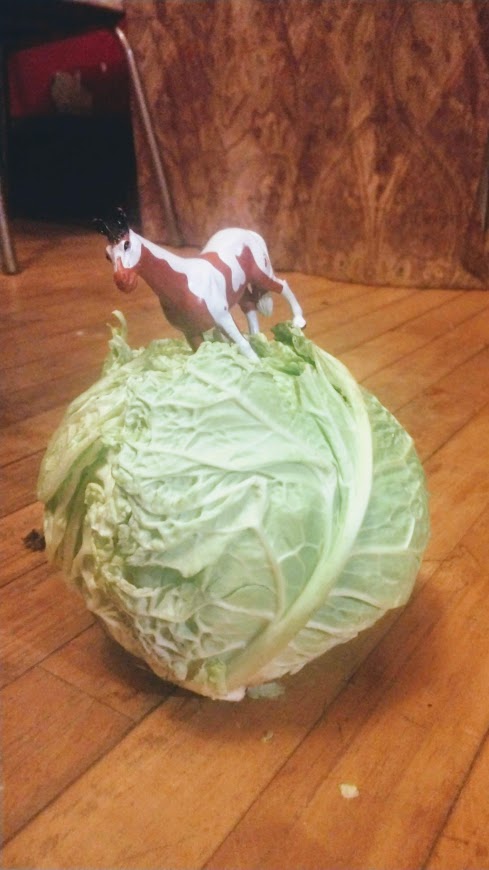 Cabbage- Famosa F2