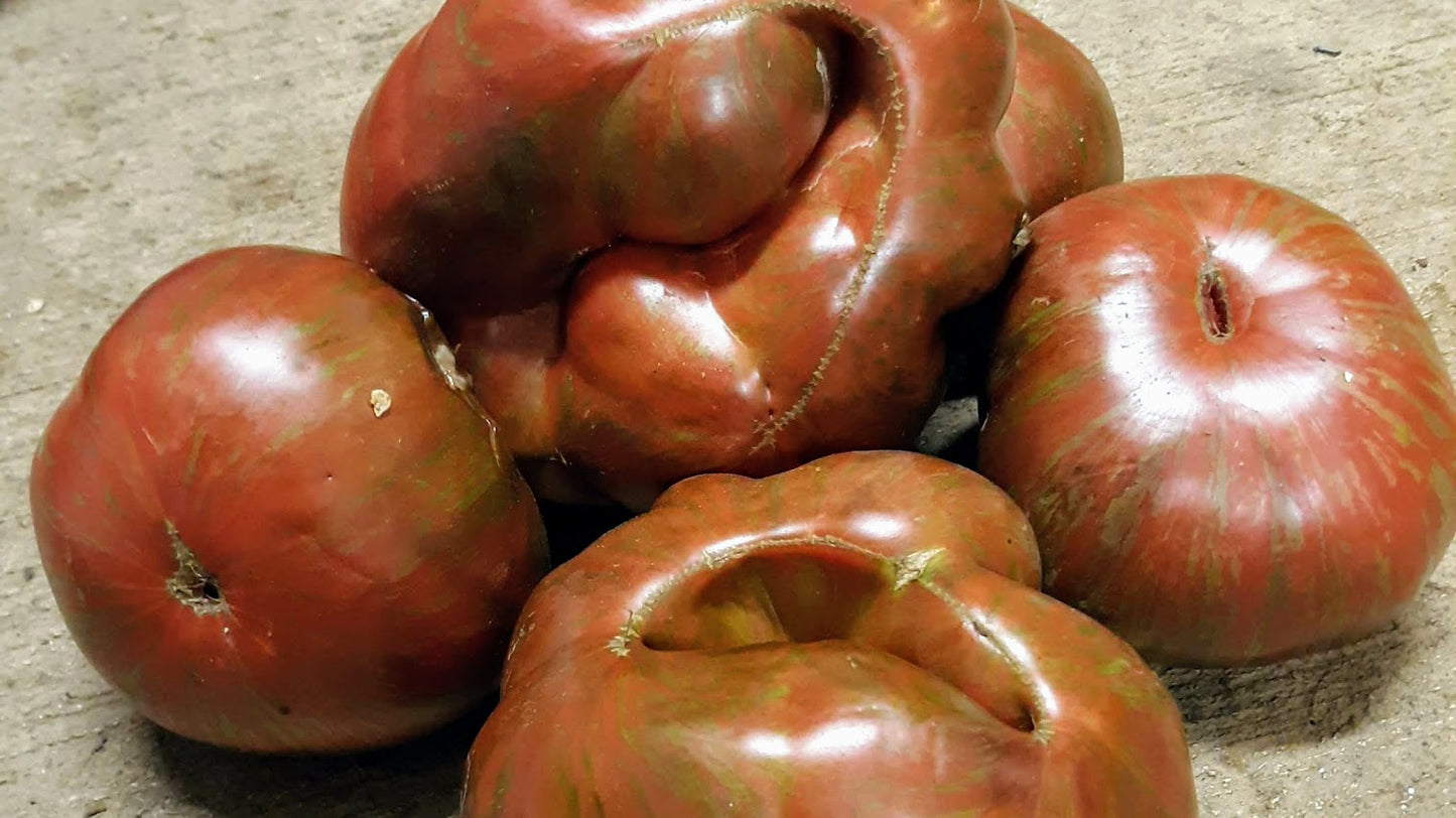 Slicer- Pink Berkely Tie-Die