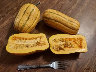 Winter Squash, Candystick delicata OG