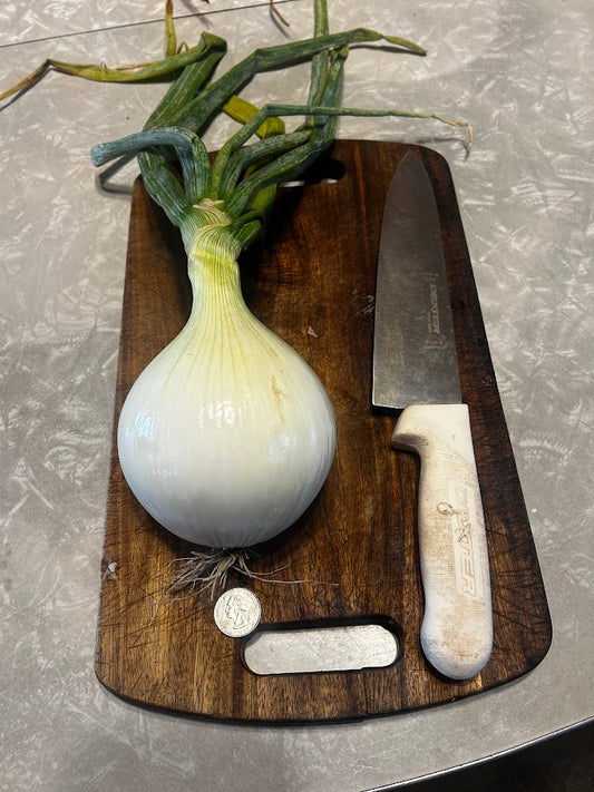 Onion, Spanish; Ailsa Craig