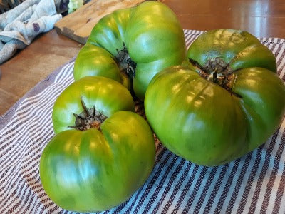 Slicer- Aunt Ruby's Green OG