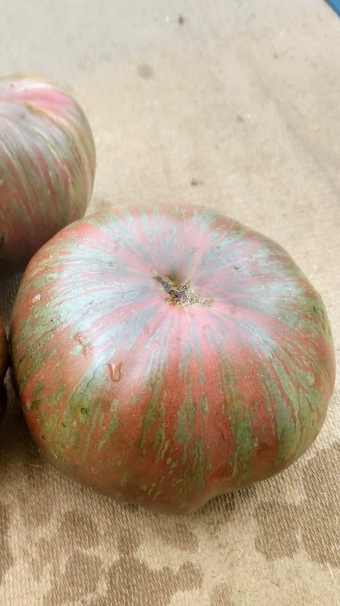 Slicer- Pink Berkely Tie-Die