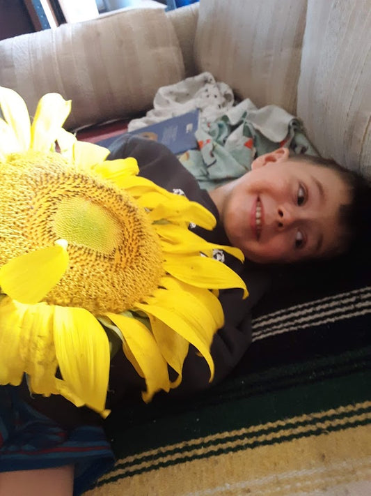 Sunflower- Mammoth OG