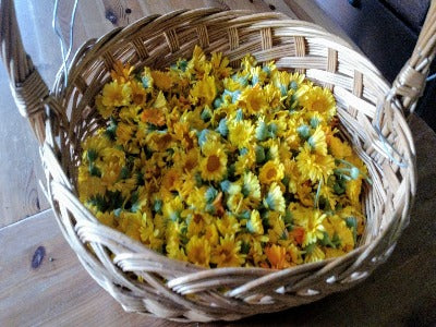 Calendula, Resina OG
