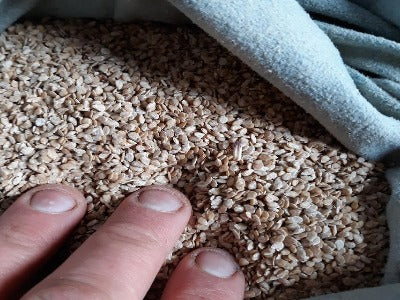 Cherry- Black Cherry OG